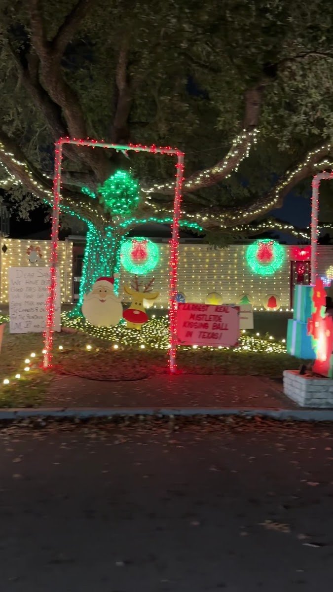 Christmas light installation, photo from Umesh Doiphode's review