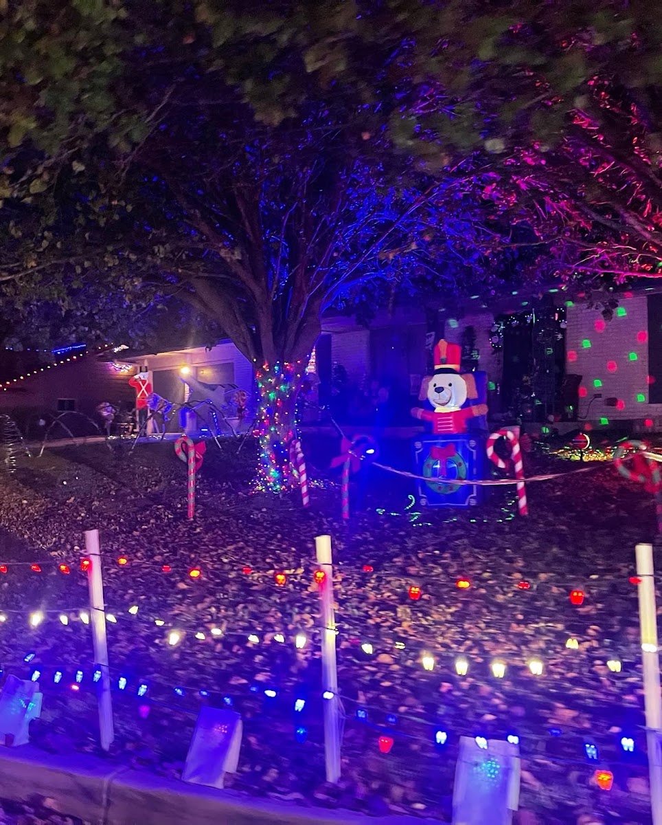 Christmas light installation, photo from Kimberly Feathers's review