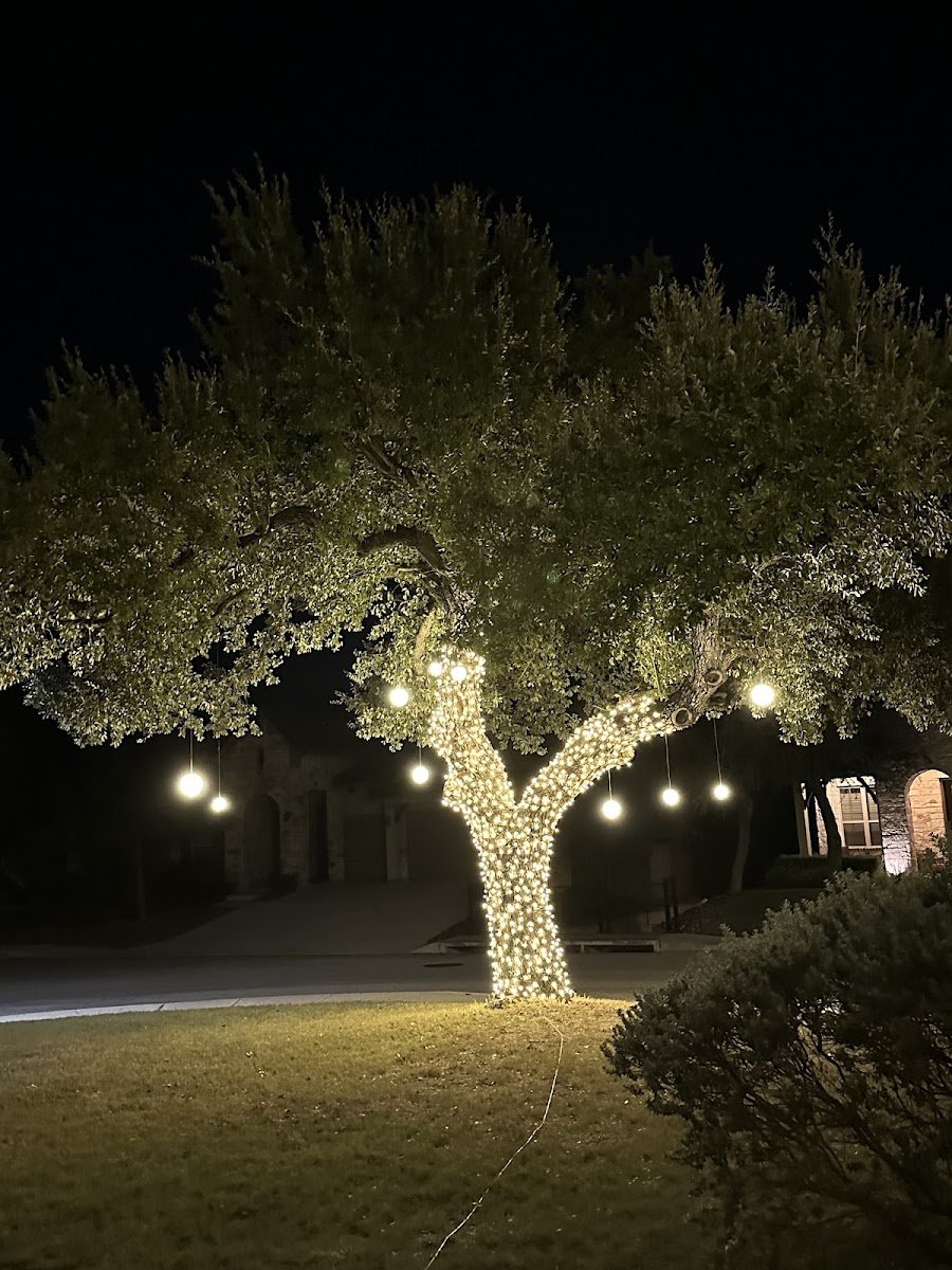 Christmas light installation, photo from Matthew Hoch's review