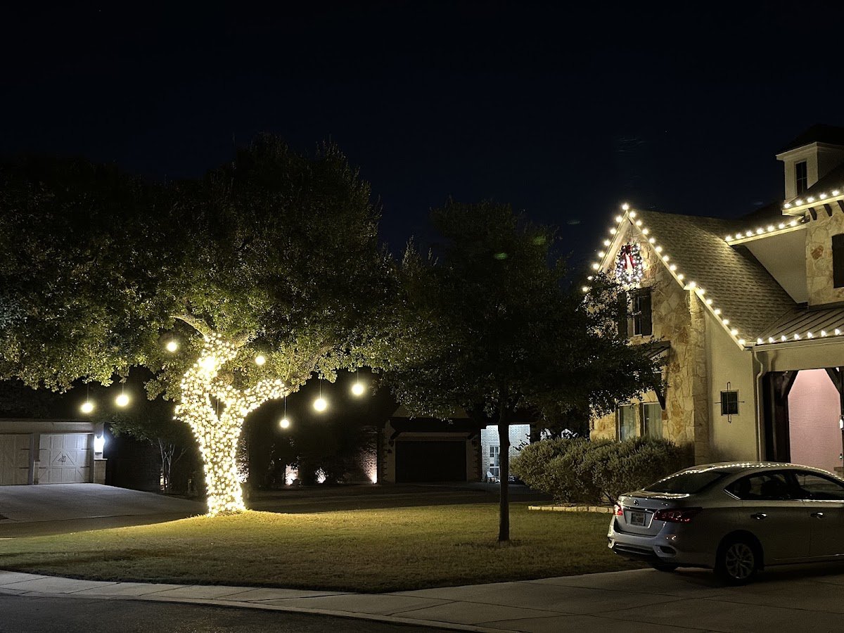Christmas light installation, photo from Matthew Hoch's review