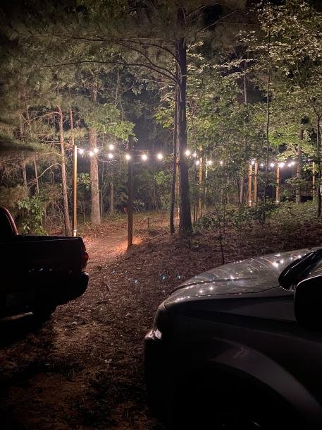 Christmas light installation, photo from Bea Wright's review