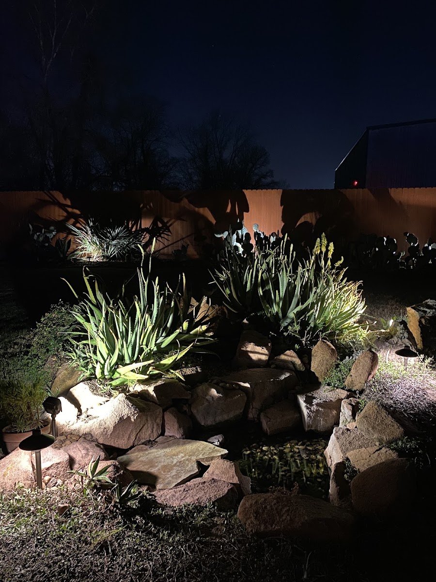 Christmas light installation, photo from Francine Goundry's review