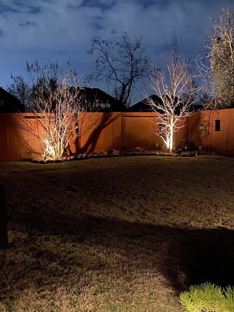 Christmas light installation, photo from Francine Goundry's review