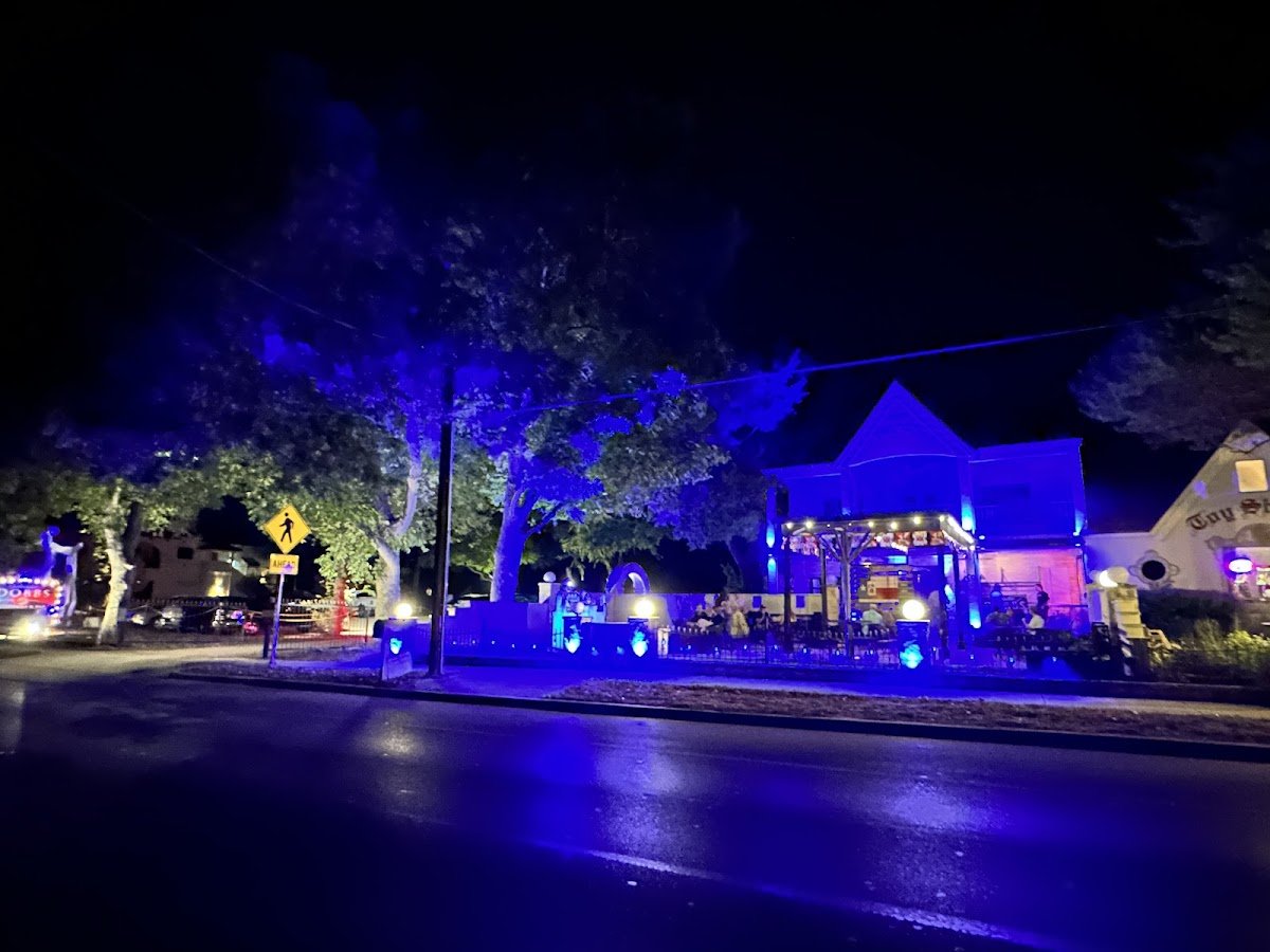 Christmas light installation, photo from Veronica Brown's review