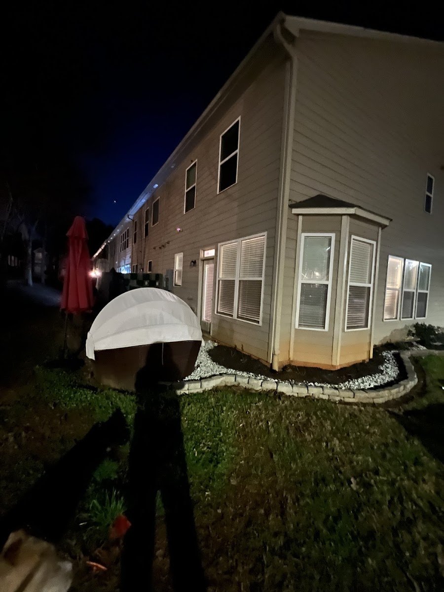 Christmas light installation, photo from Christen Donald's review