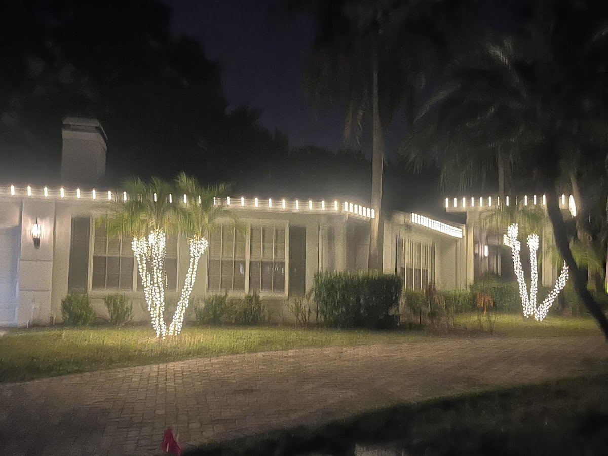 A single-story home outlined in warm white C9 roofline lights with two palm trees wrapped in mini lights, slightly blurred night shot.