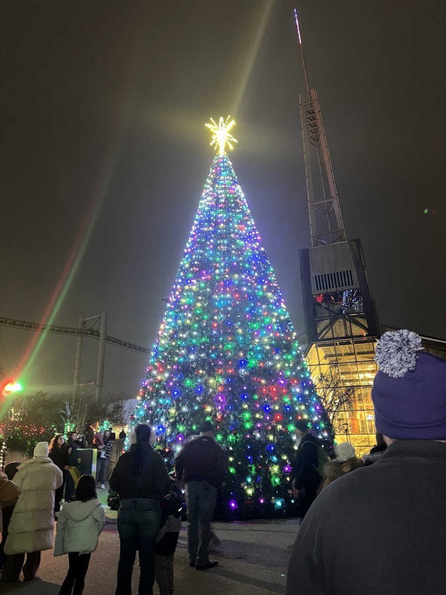 Christmas light installation, photo from Andrea Dutra's review