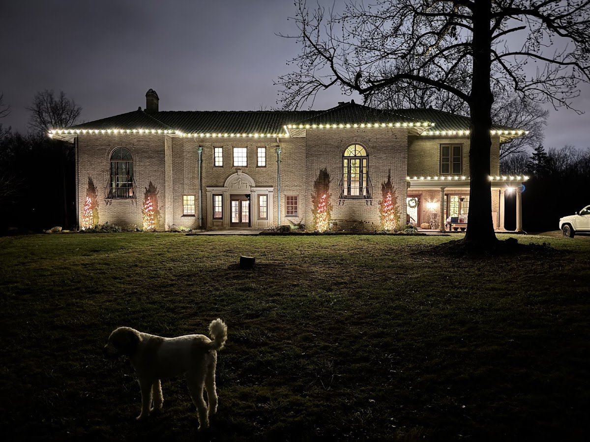 Christmas light installation, photo from Kurt Evans's review