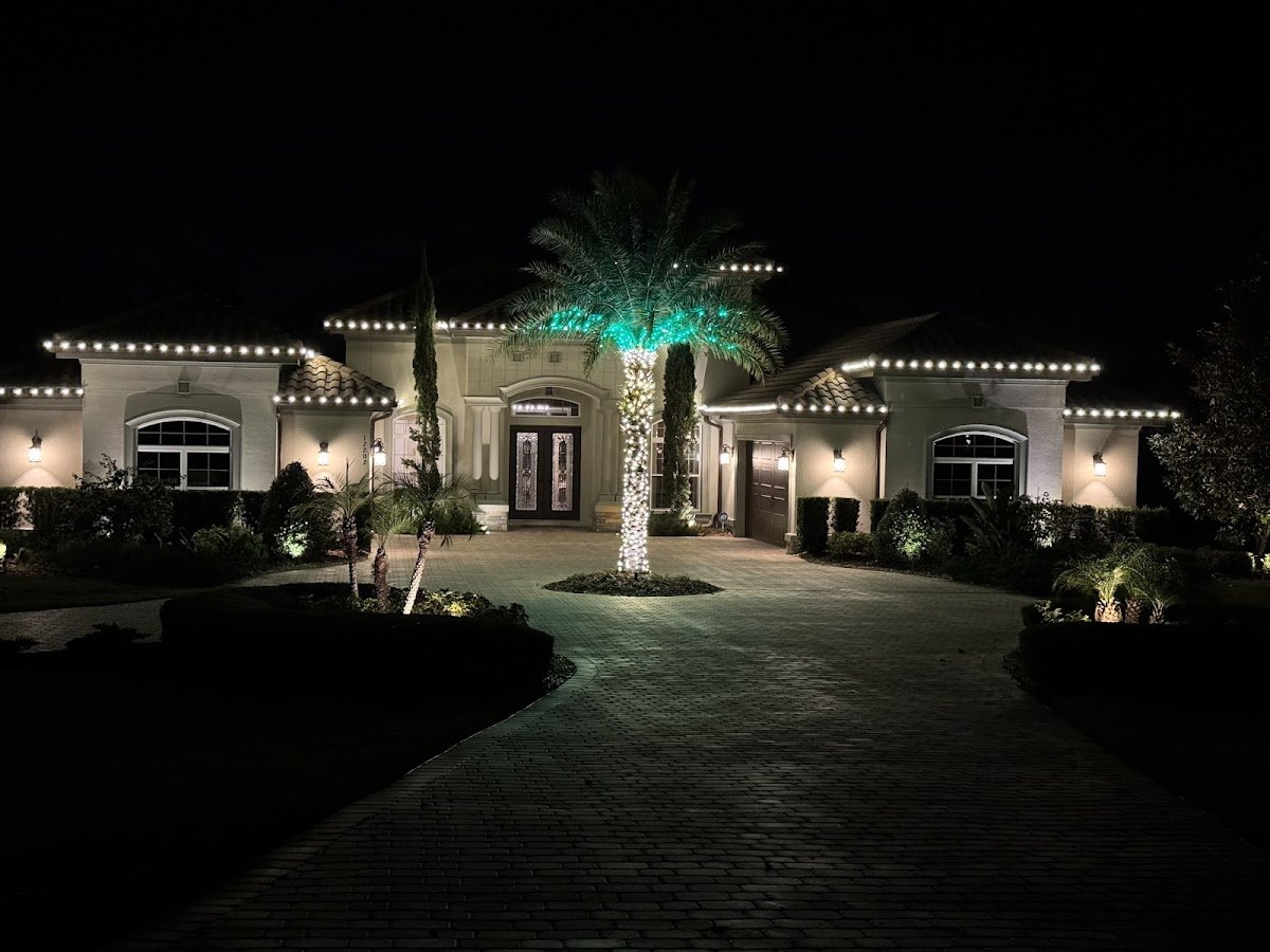 Christmas light installation, photo from Amy Rahn's review