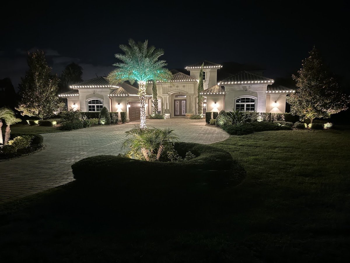 Christmas light installation, photo from Amy Rahn's review