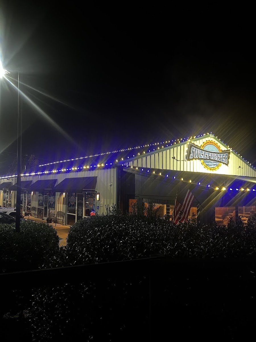 Christmas light installation, photo from Chris Lorusso's review