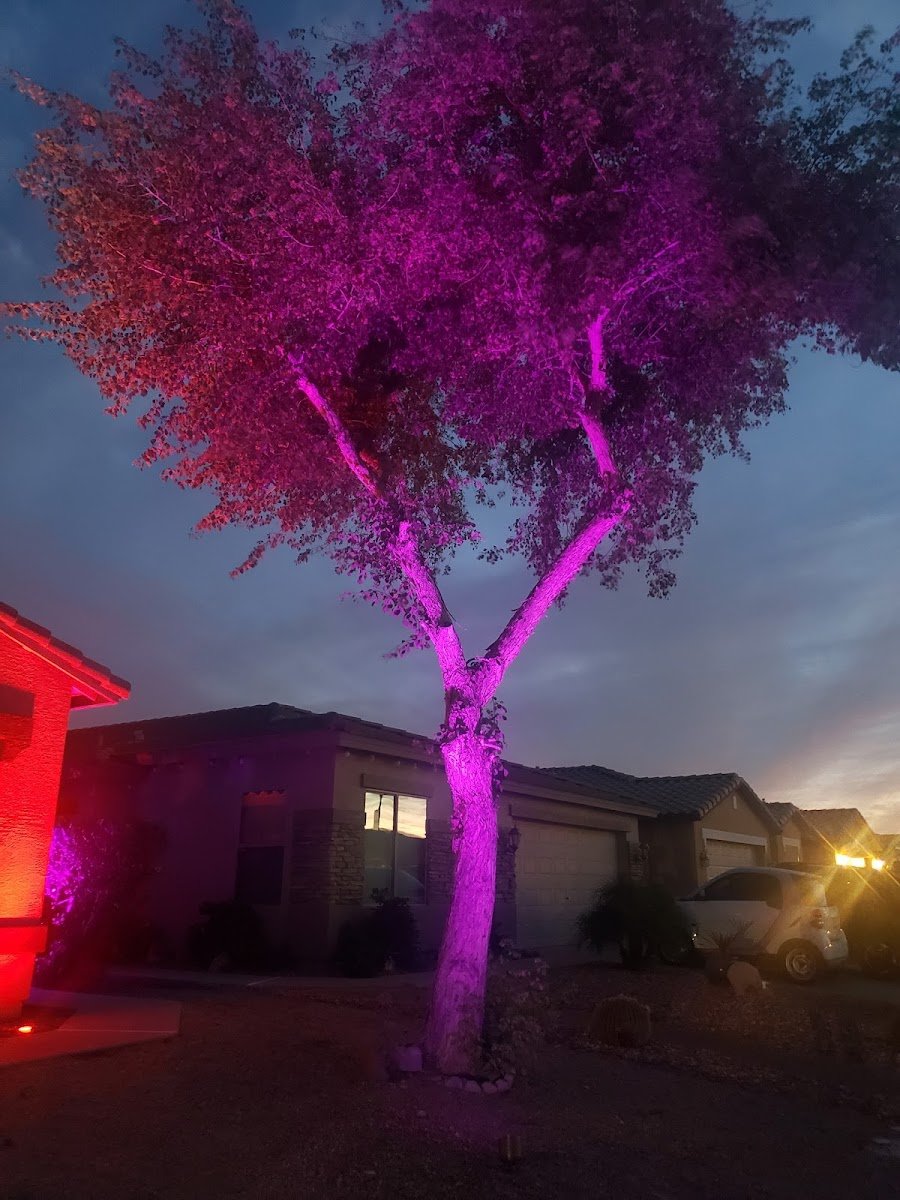 Christmas light installation, photo from Larry Prine's review