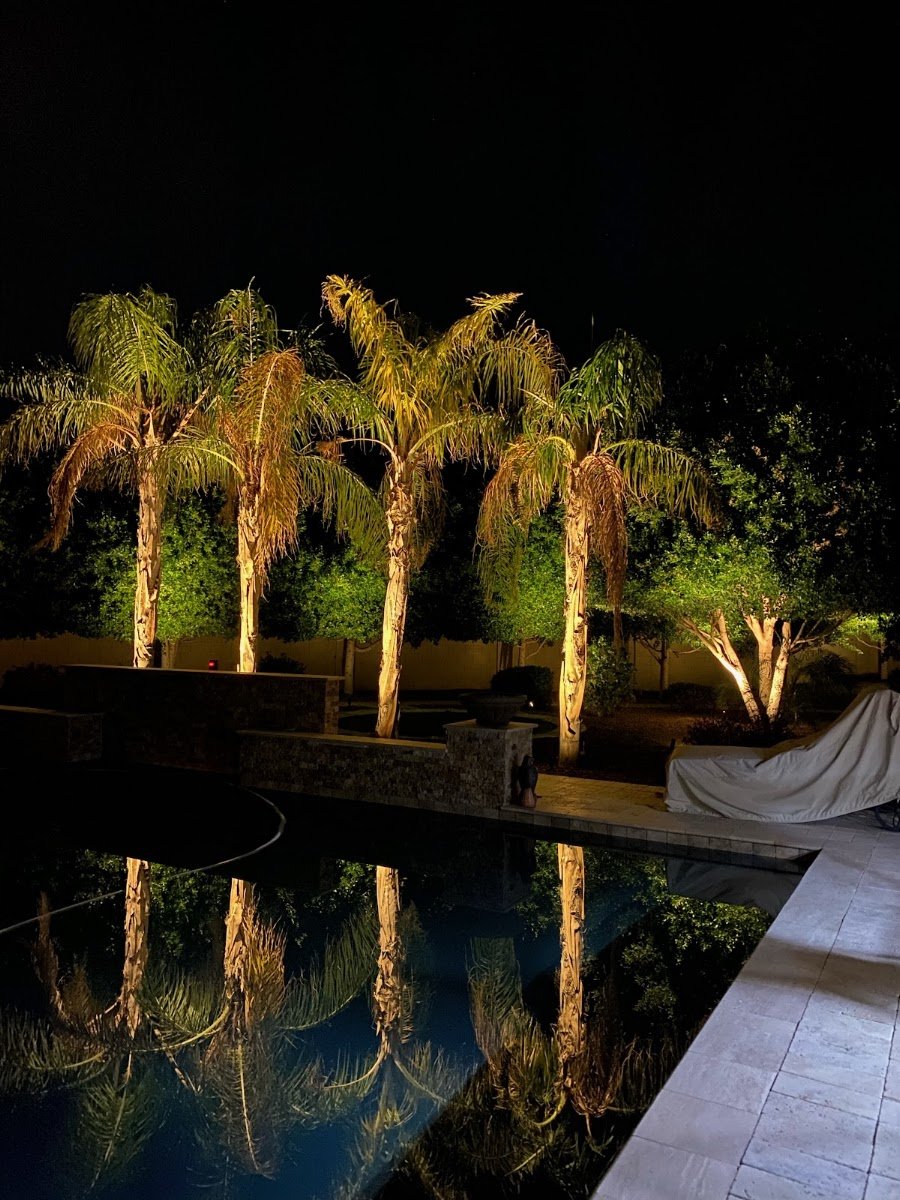 Christmas light installation, photo from Maria Garcia's review