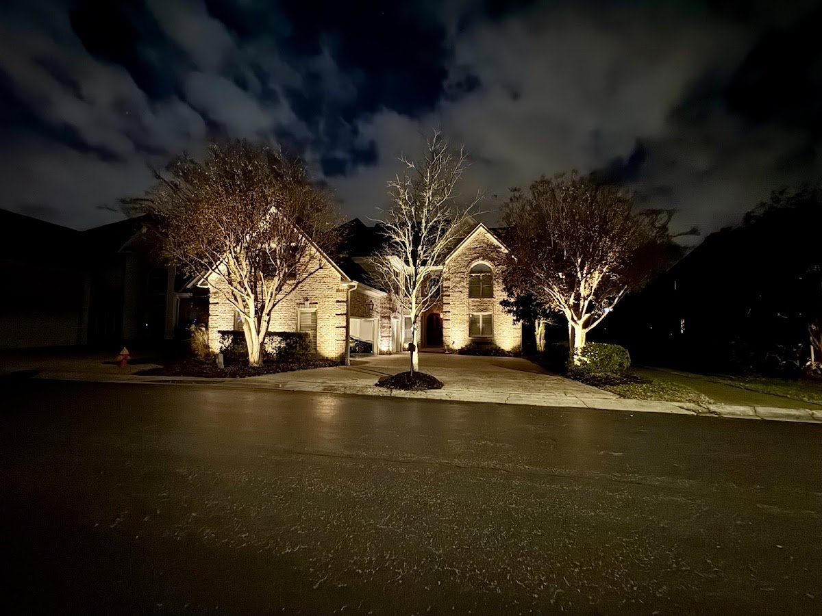Christmas light installation, photo from Avi Das's review