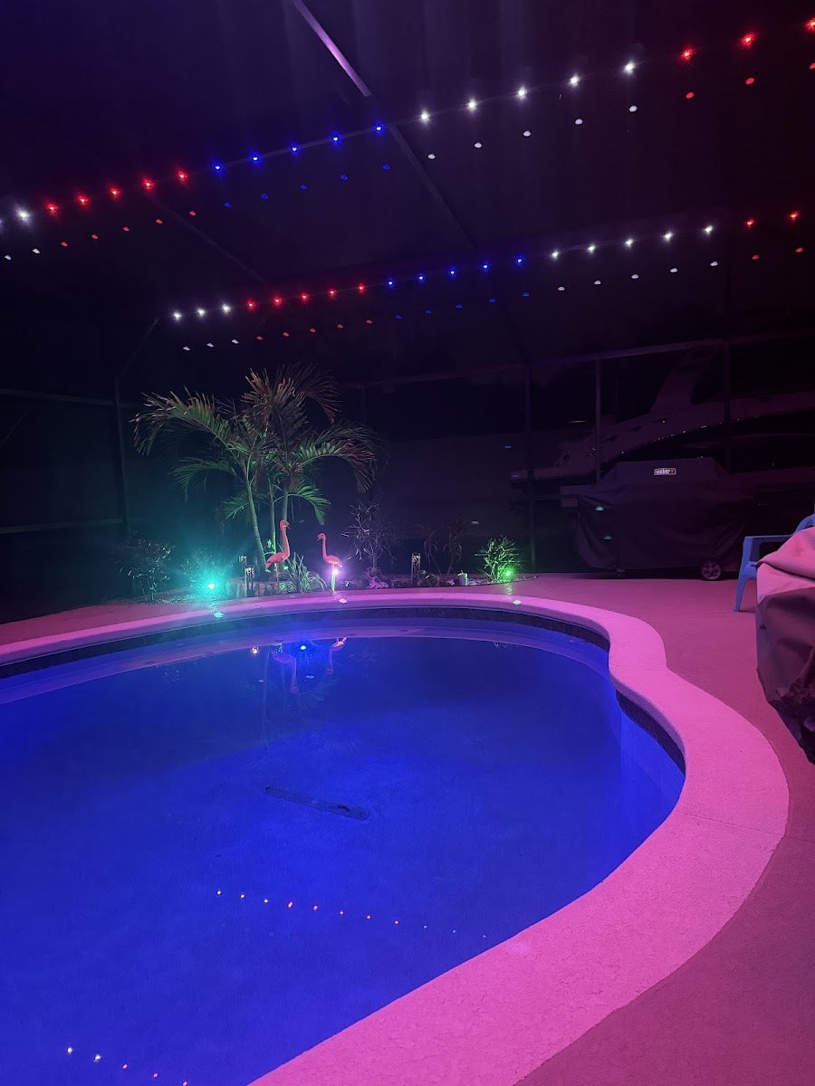 Christmas light installation, photo from Manuel Carrillo's review