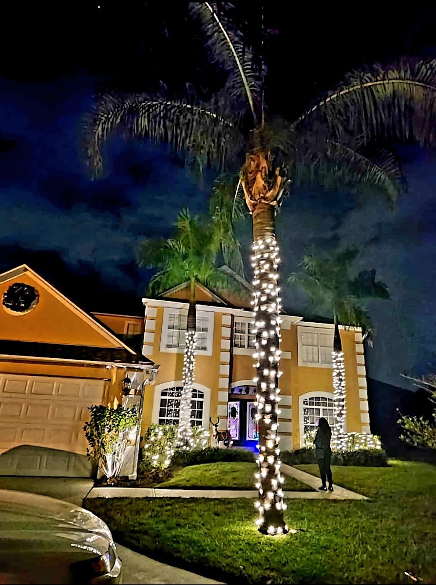 Christmas light installation, photo from Diana R Gomez's review