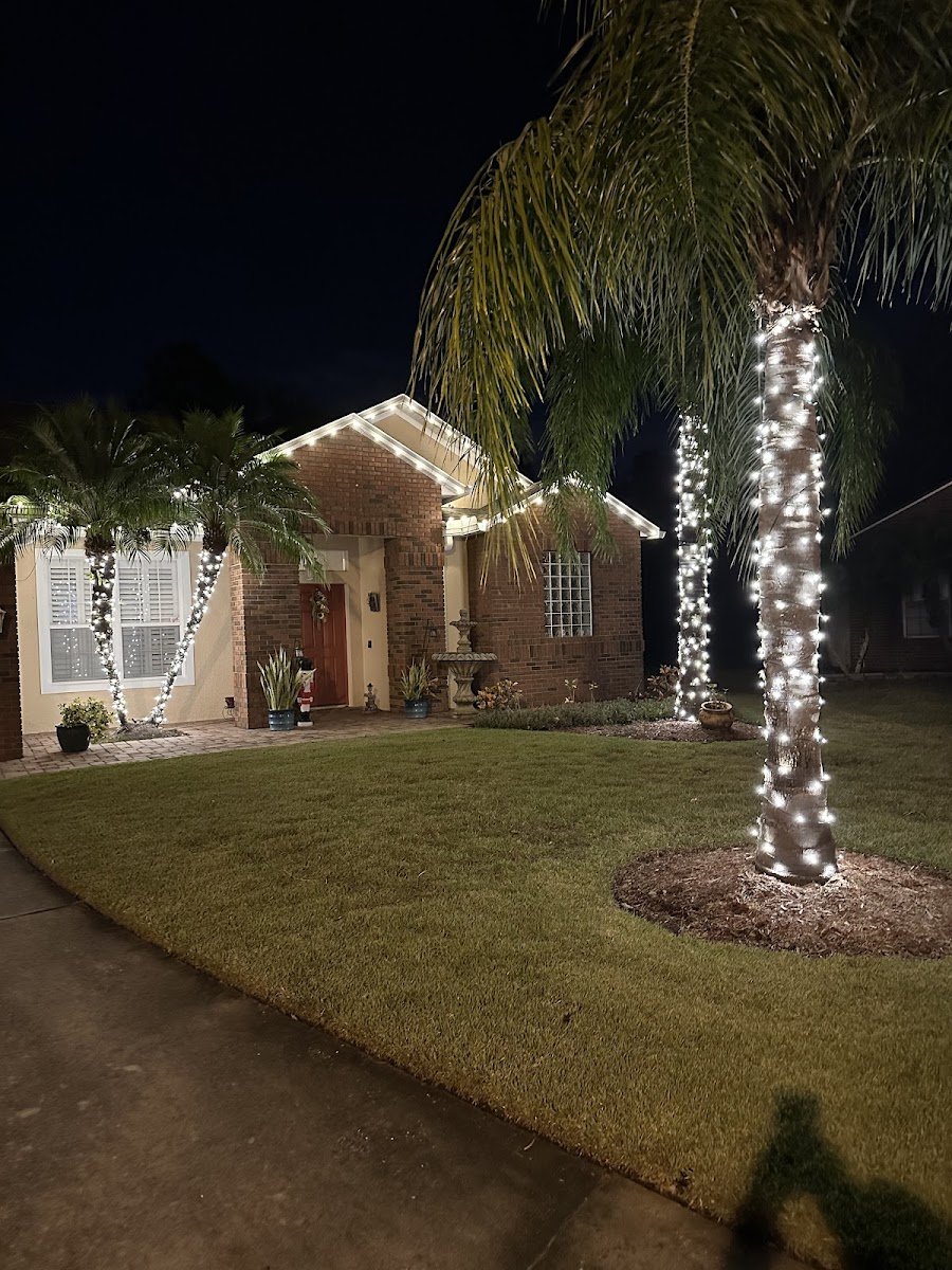 Christmas light installation, photo from Gabe's review
