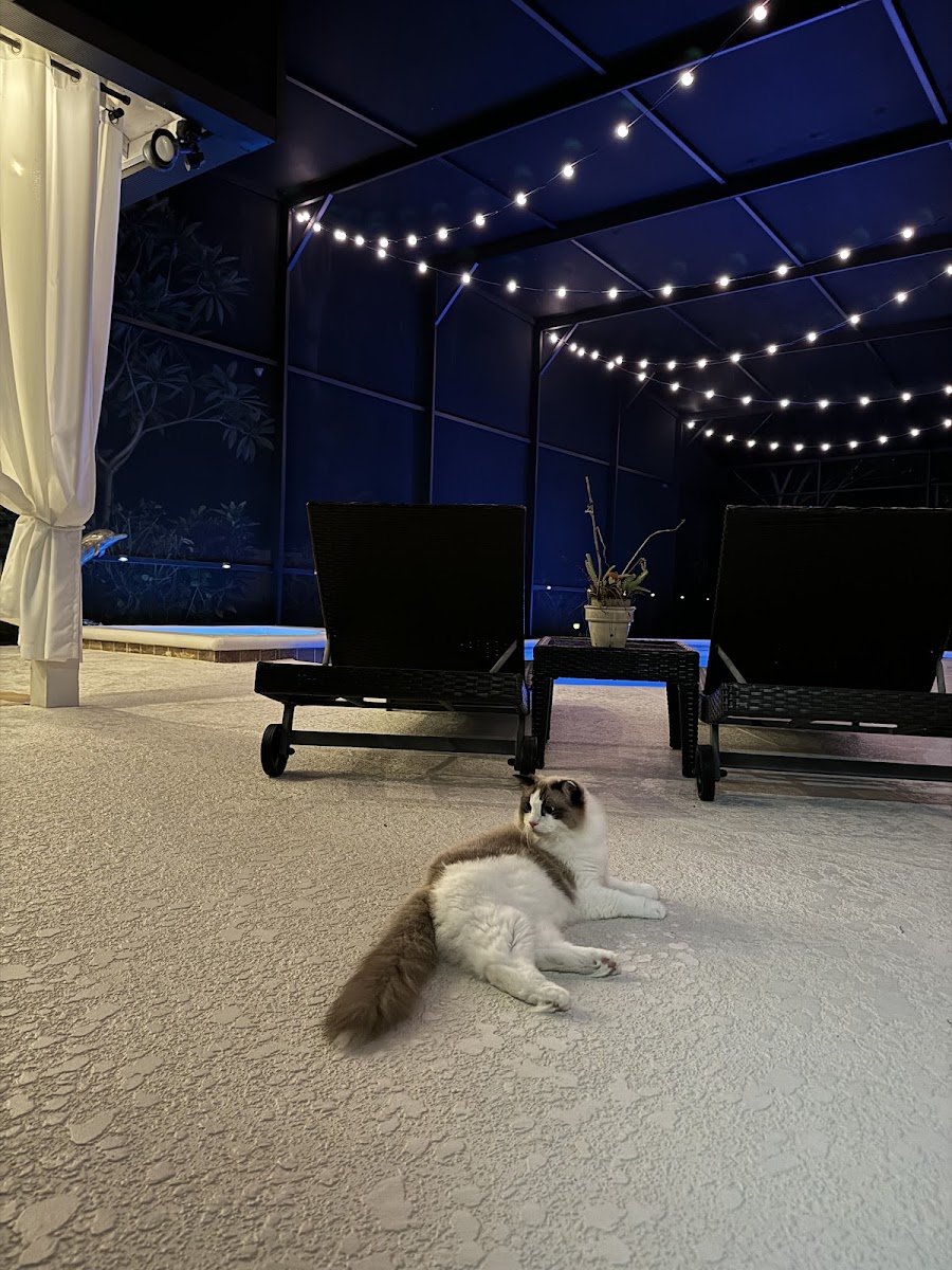 Christmas light installation, photo from gfracerx's review