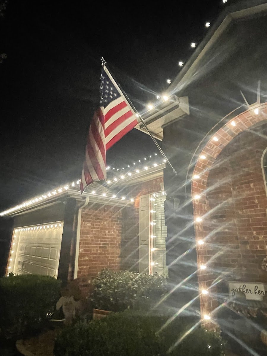Christmas light installation, photo from Nick Sanders's review