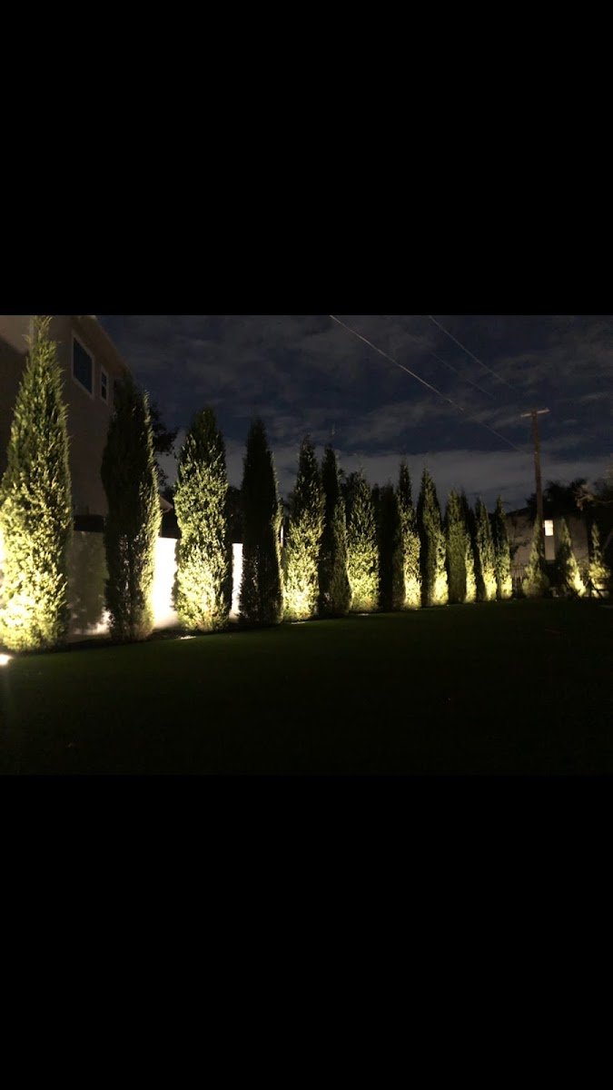 Christmas light installation, photo from Jainal Bhuiyan's review