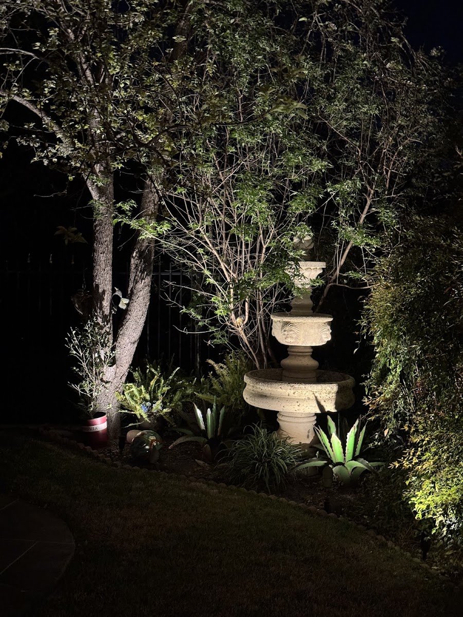 Christmas light installation, photo from waleska lavorato's review