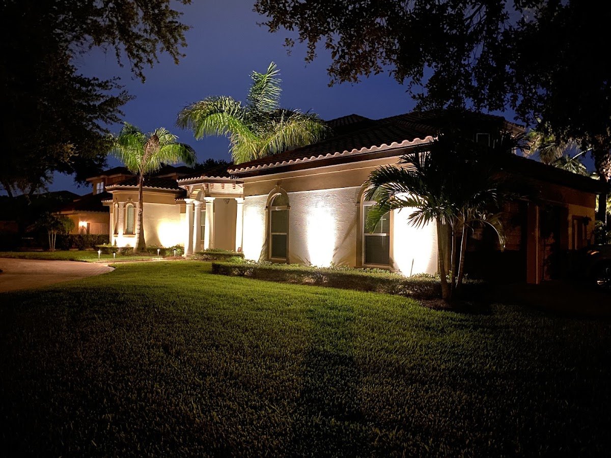 Christmas light installation, photo from Matthew Miller's review
