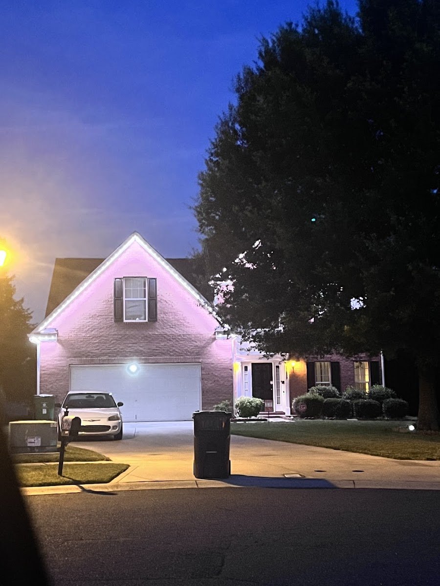 Christmas light installation, photo from tyrone boger's review