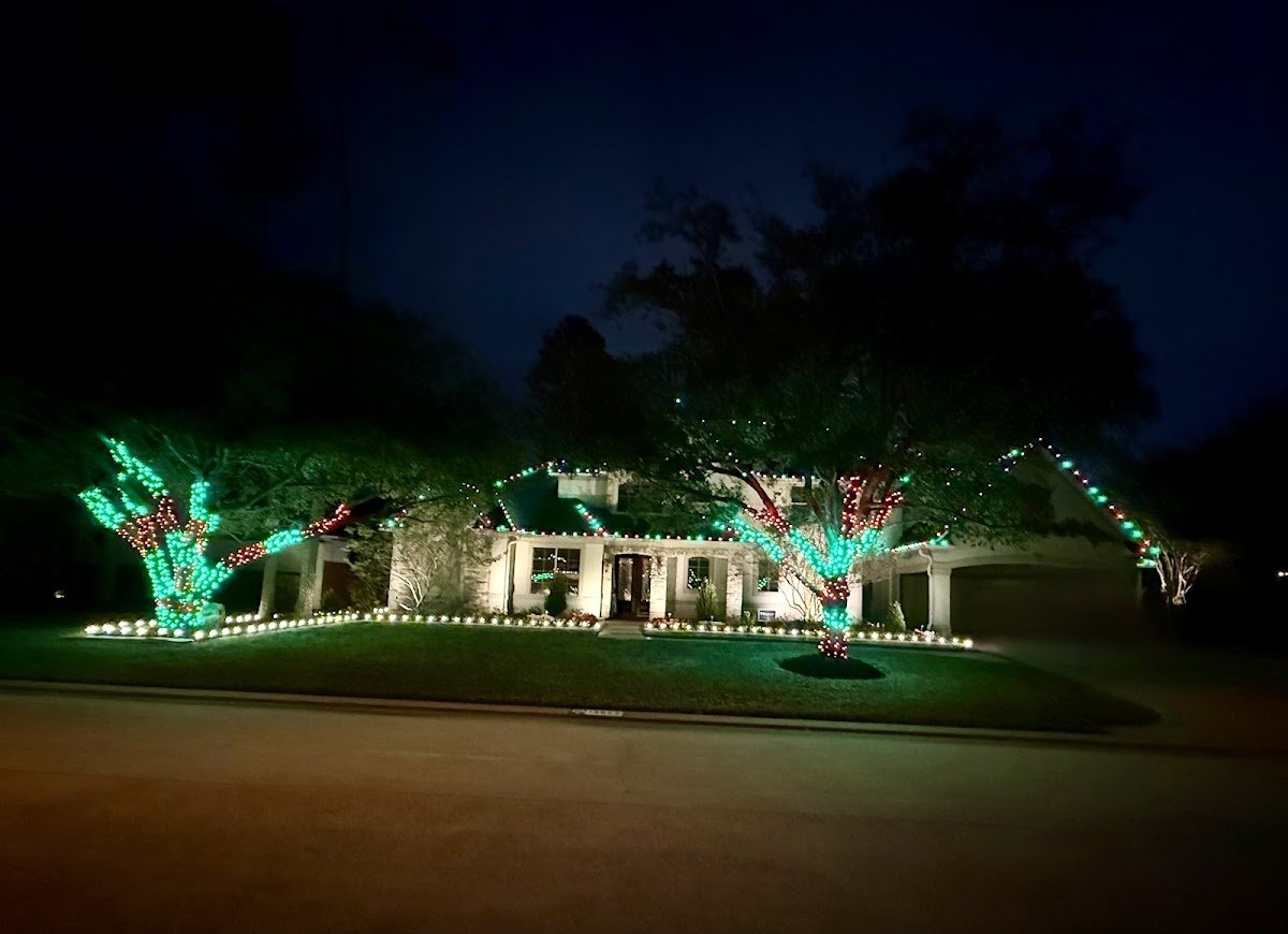 Christmas light installation, photo from Jessica Russell's review