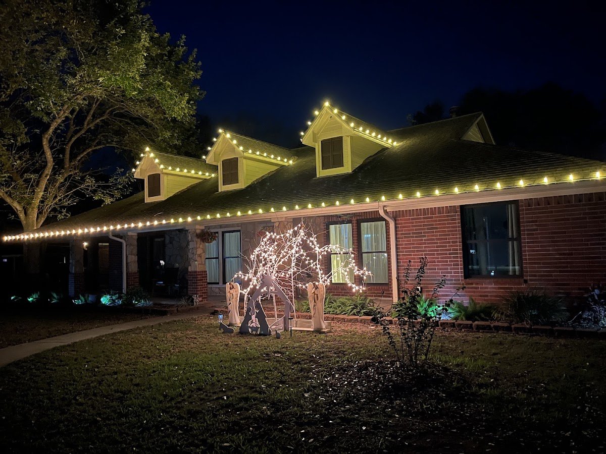 Christmas light installation, photo from Danielle Fish's review