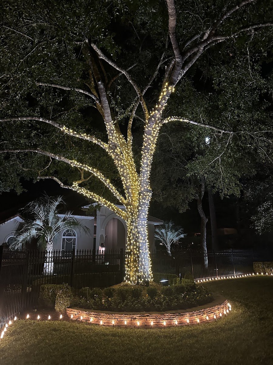 Christmas light installation, photo from Marc Payton's review