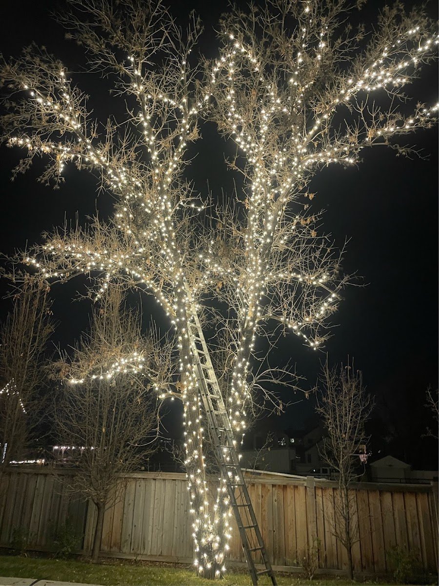 Christmas light installation, photo from Robin Bodell's review