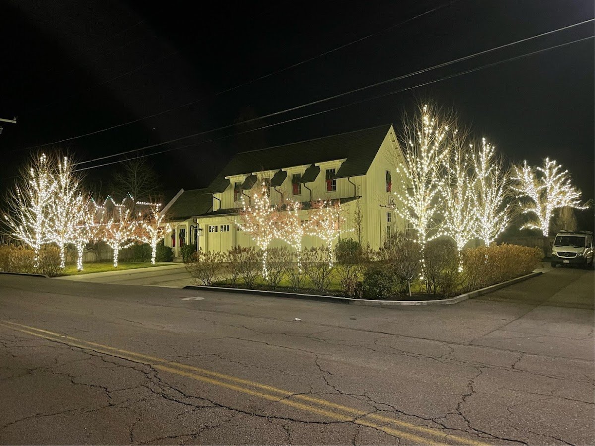 Christmas light installation, photo from Robin Bodell's review