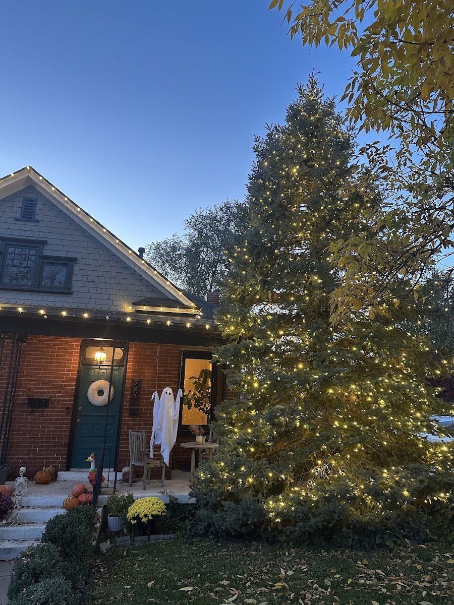 Christmas light installation, photo from Zachary Willey's review