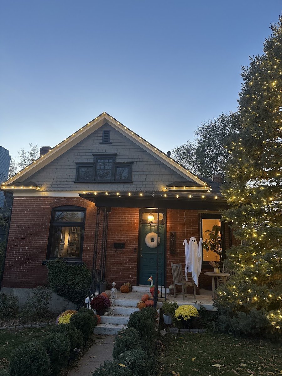 Christmas light installation, photo from Zachary Willey's review