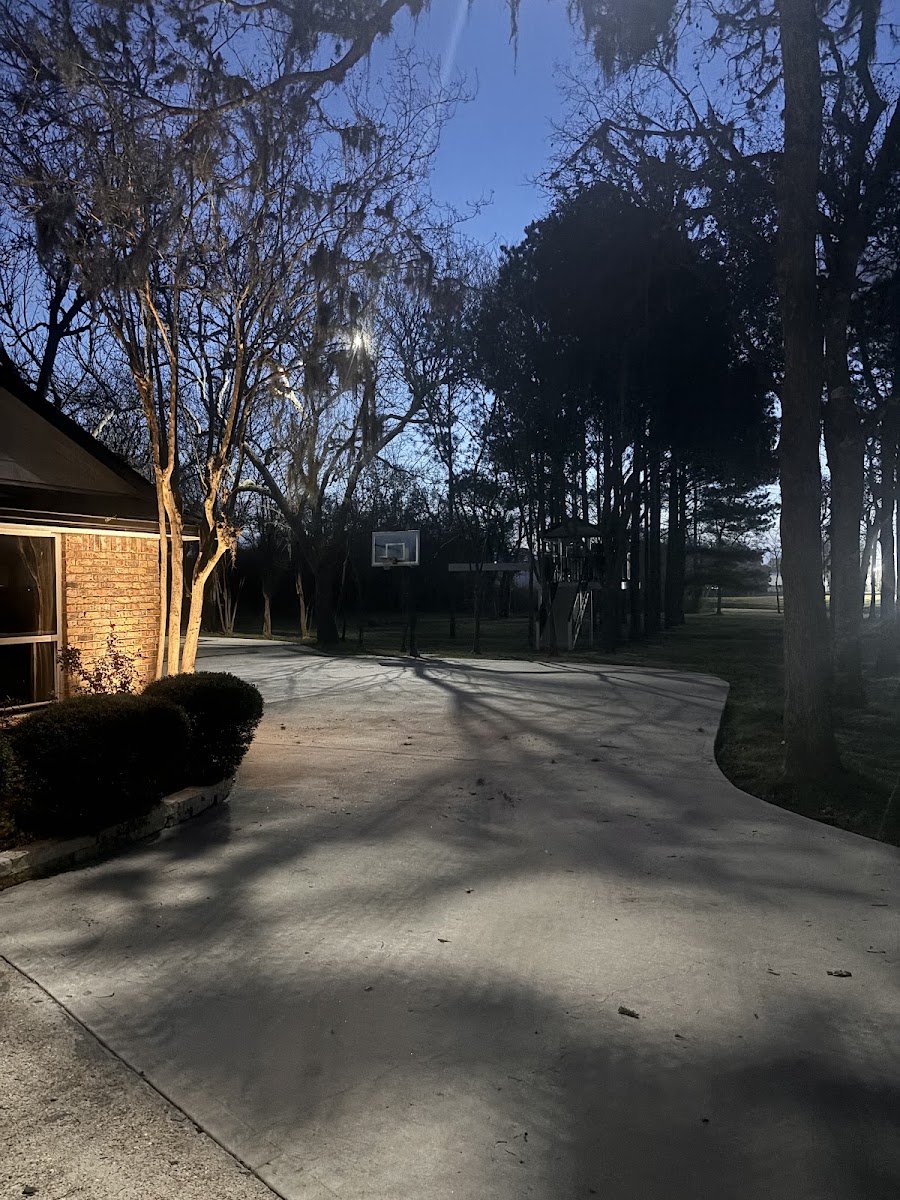 Christmas light installation, photo from dana barnett's review