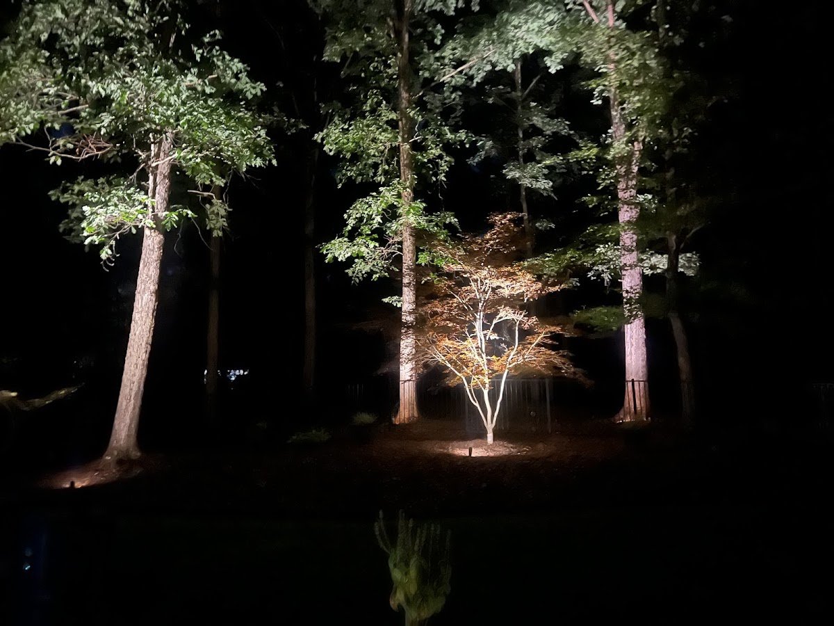 Christmas light installation, photo from Christina Jones's review