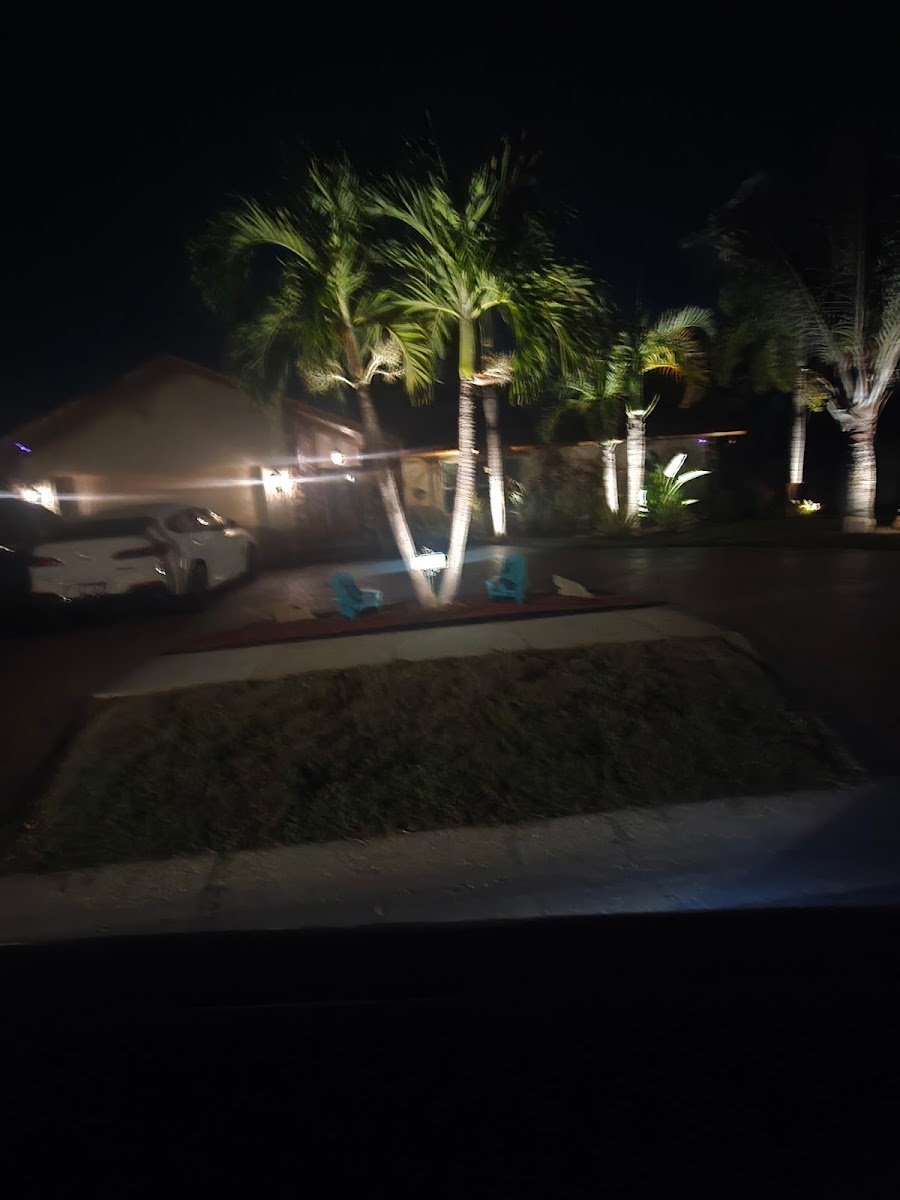 Christmas light installation, photo from Patricia Bott's review