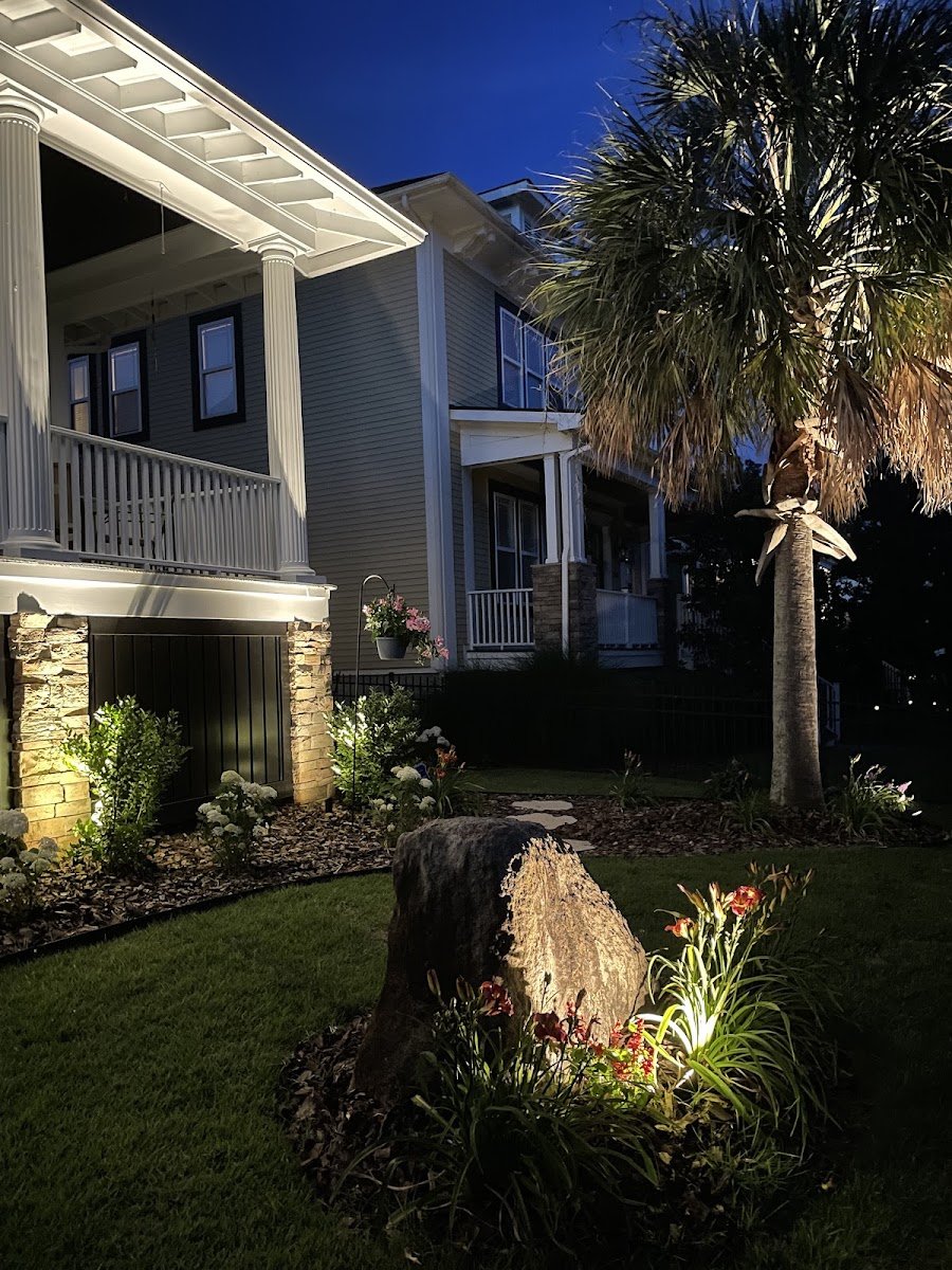 Christmas light installation, photo from Amelia Quilon's review