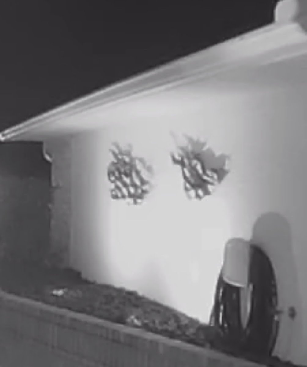 Christmas light installation, photo from Darlene Isabelle's review