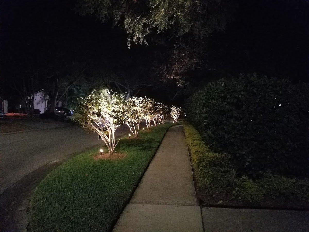 Christmas light installation, photo from Wayne Herr's review