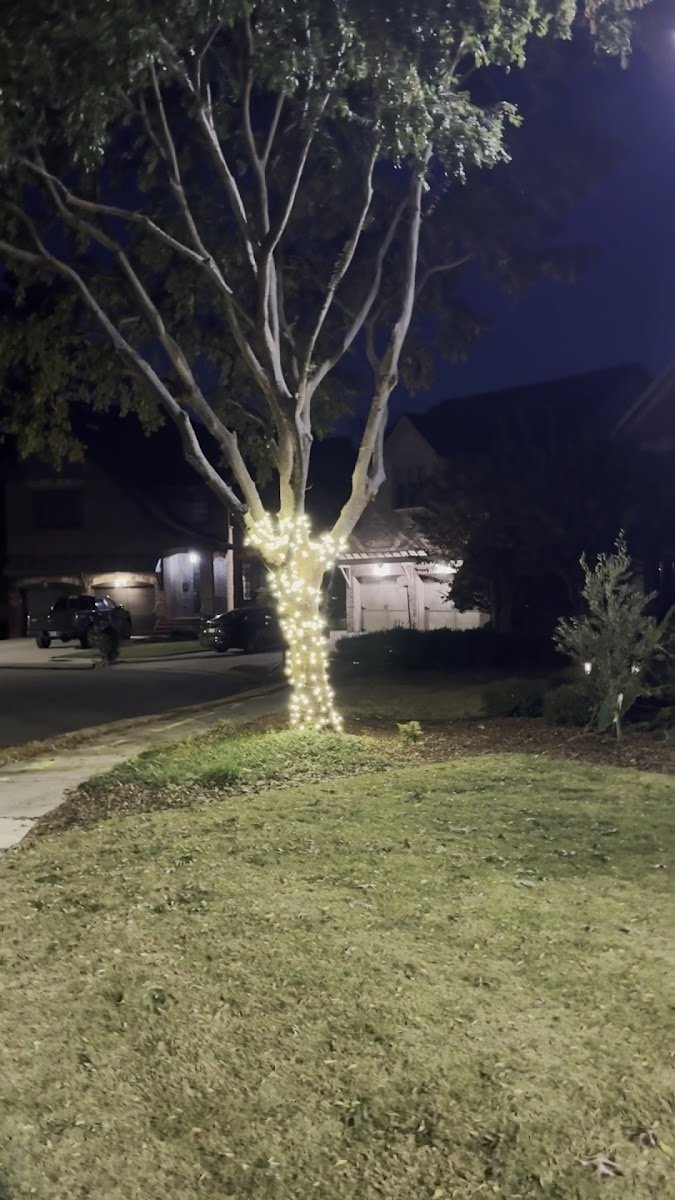 A single-story stucco and stone home with warm white C9 roofline lights and purple and green landscape uplighting washing the facade at night.