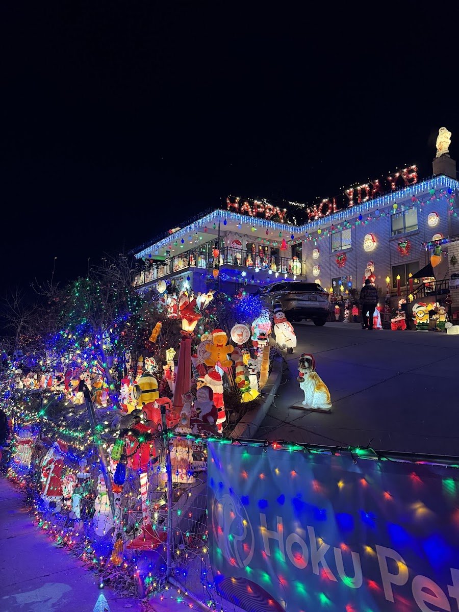 Christmas light installation, photo from Jahja Ng's review