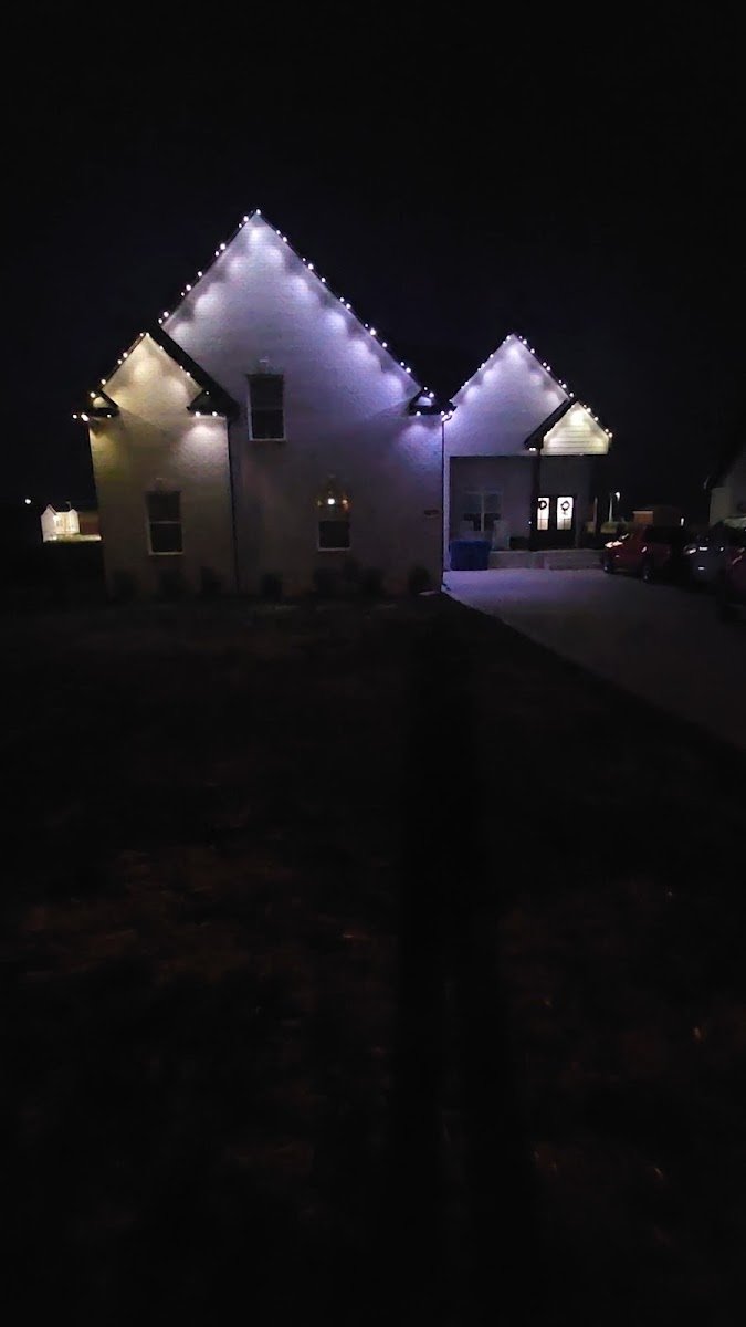 Christmas light installation, photo from Katherine Burnham's review