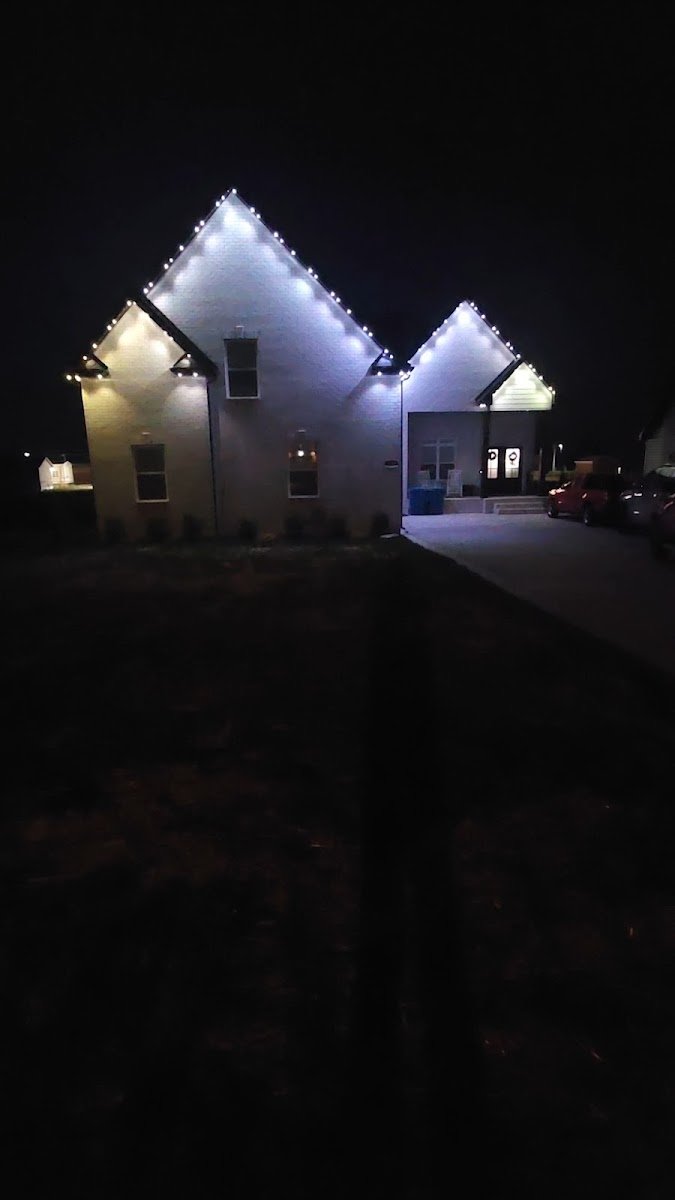 Christmas light installation, photo from Katherine Burnham's review